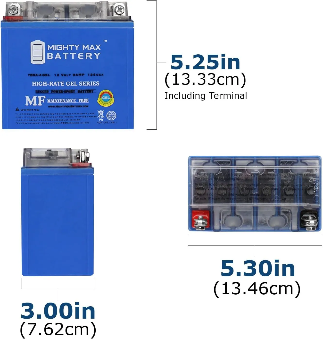 Mighty Max YB9A-AGEL 12V 9 AH GEL 130 CCA Rechargeable Maintenance Free SLA AGM Battery